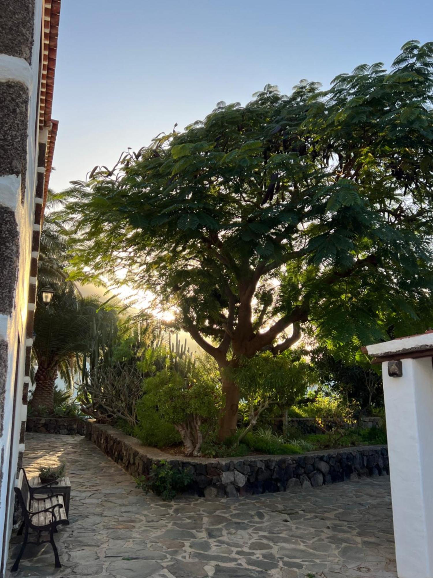 Finca Exclusiv La Mareta Agaete  Exterior foto
