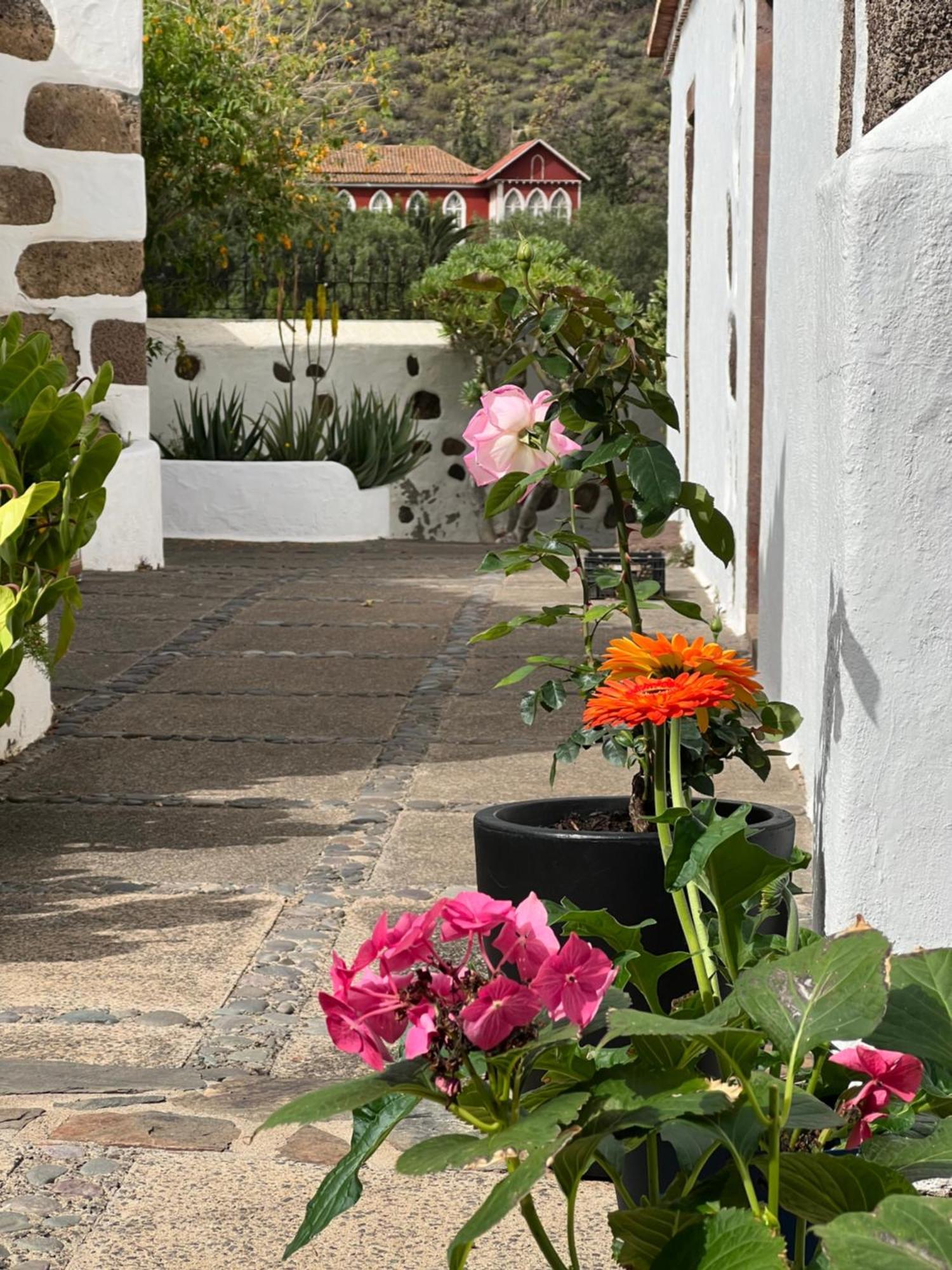 Finca Exclusiv La Mareta Agaete  Exterior foto
